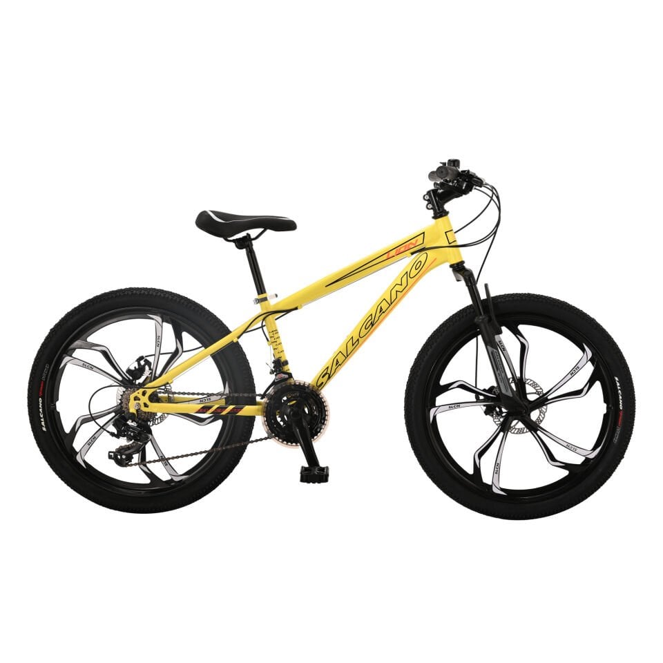 SALCANO LION 24 MD 13″ MONO